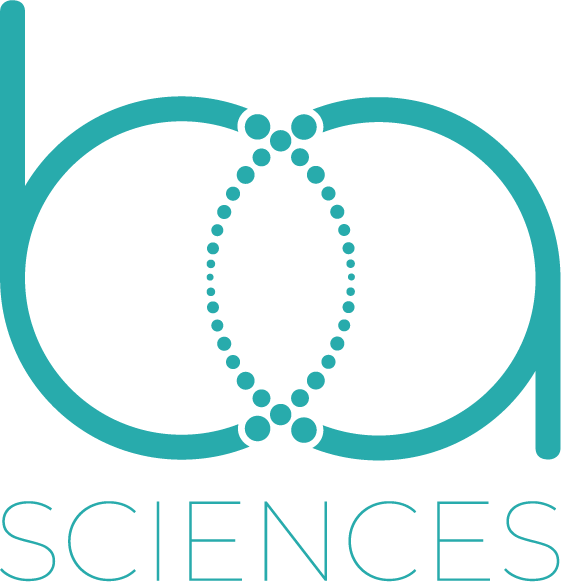 https://www.straightnorth.com/wp-content/uploads/2025/03/BA_Final-Logo-2024-02-2.png