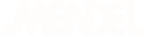 https://www.straightnorth.com/wp-content/uploads/2026/01/mendel-logo-wht-01.png