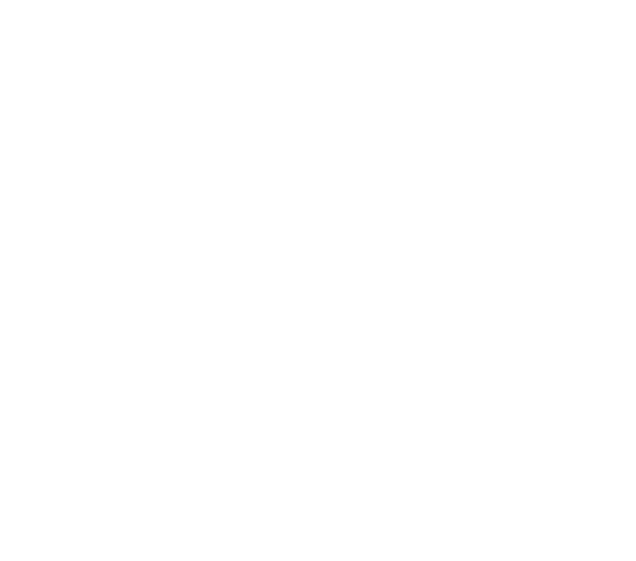 https://www.straightnorth.com/wp-content/uploads/2026/03/logo-CapitalAutoAuction-white-01.png