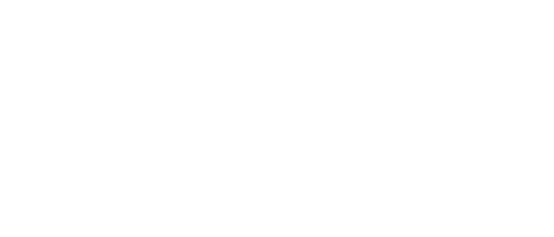 https://www.straightnorth.com/wp-content/uploads/2026/03/silver-leaf-logo-white-02.webp
